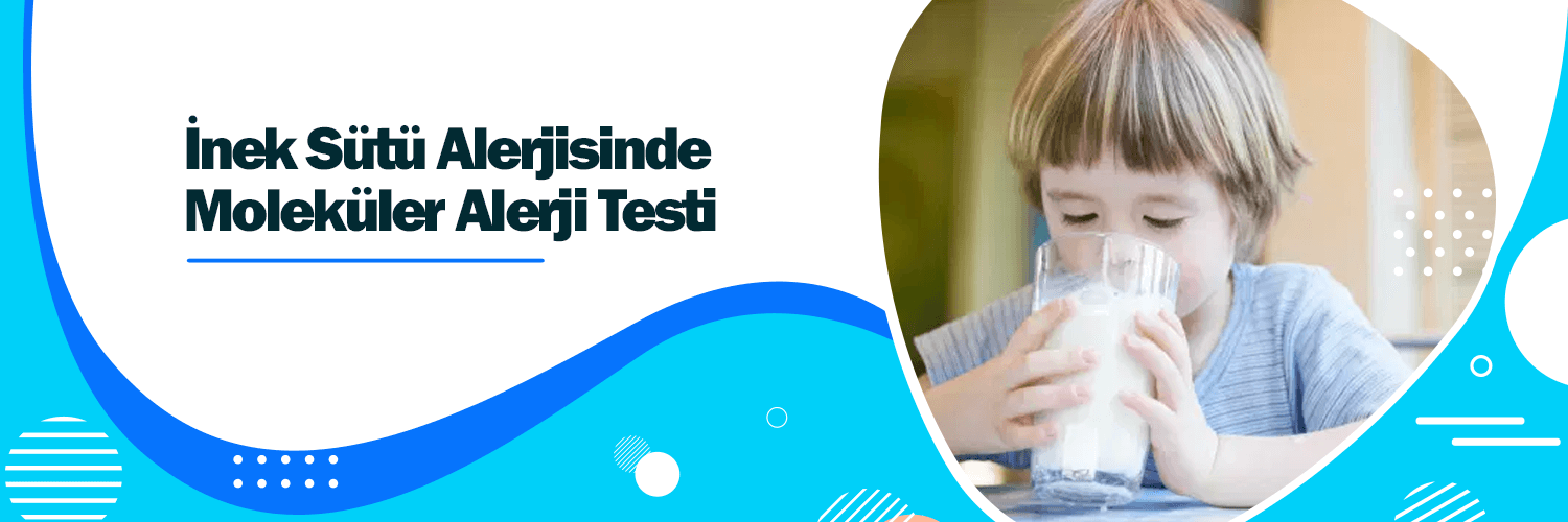 İnek Sütü Alerjisi